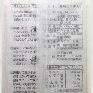 一筋縄 そうめん